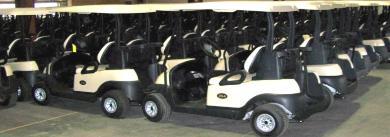 2 Pass Rental Fleet - Rent a Golf Car Today