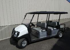 6 passenger rental